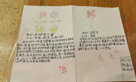 亲近母语夏令营